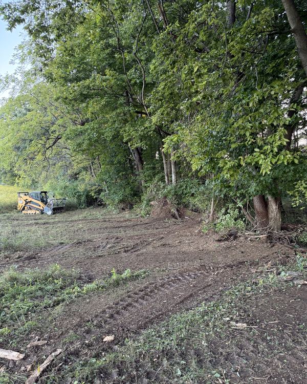 After: goldenrod and brush along the woods, mulched to the dirt, Groveport, Franklin County