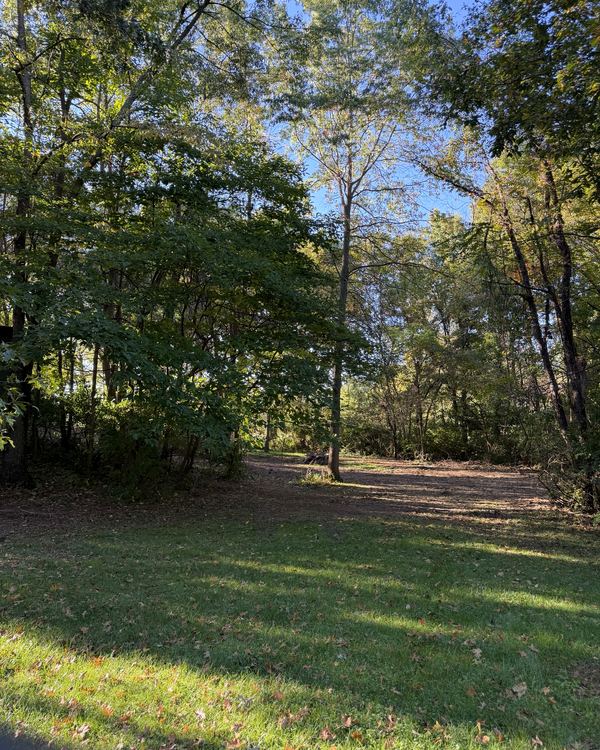 After: thick brush around the shed, cleared to a walkable path, Sunbury, Delaware County